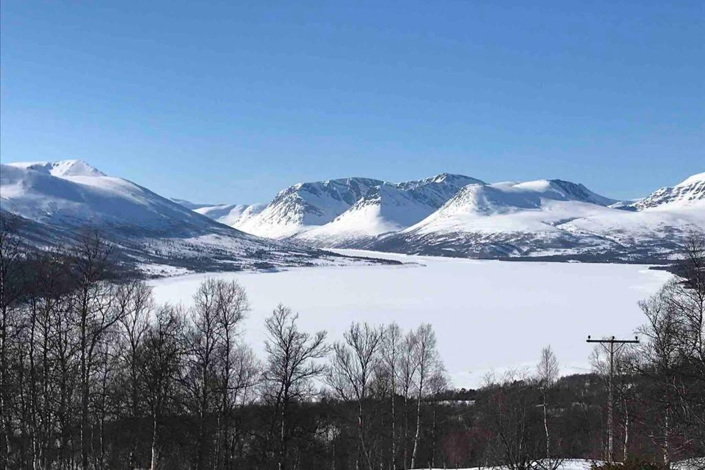 Fjellro Mountain Cabin Oppdal Dış mekan fotoğraf