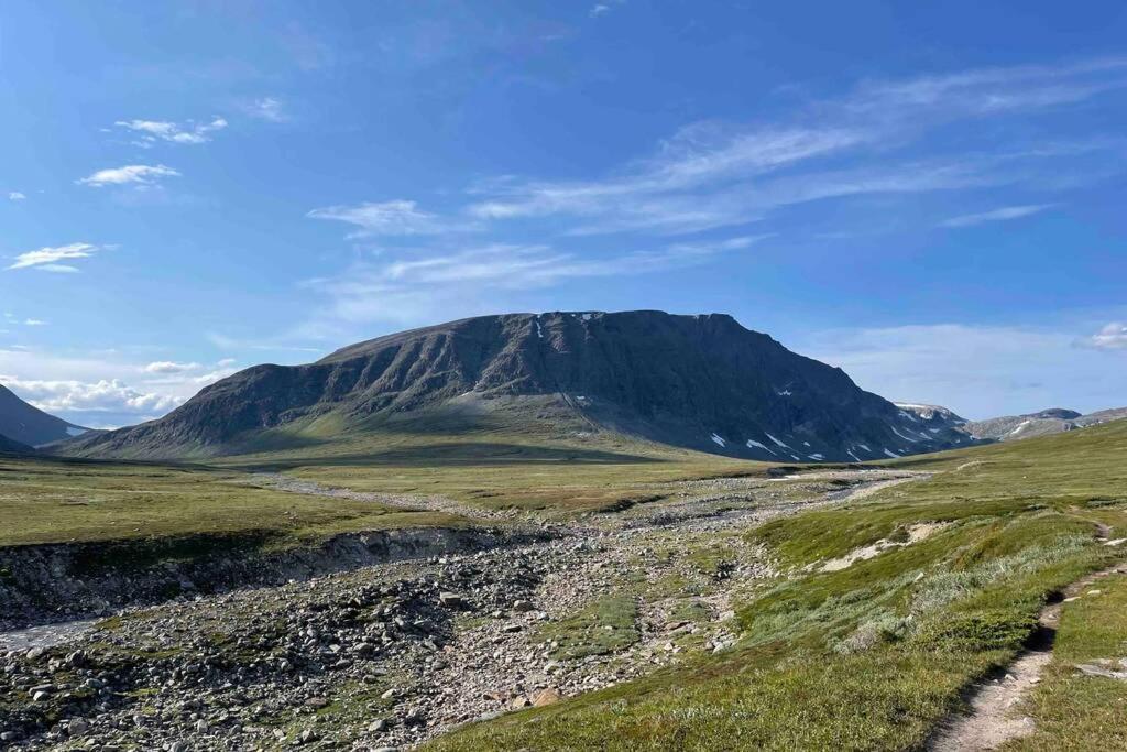 Fjellro Mountain Cabin Oppdal Dış mekan fotoğraf