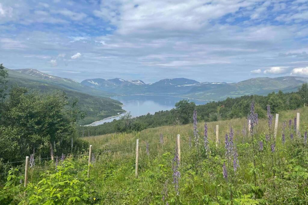 Fjellro Mountain Cabin Oppdal Dış mekan fotoğraf