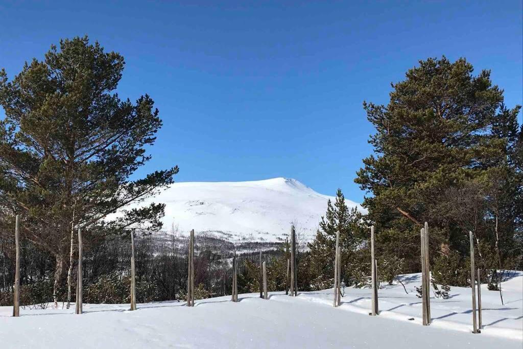 Fjellro Mountain Cabin Oppdal Dış mekan fotoğraf