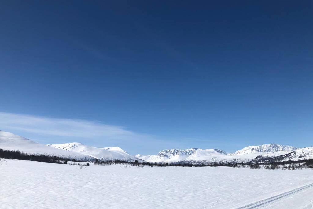 Fjellro Mountain Cabin Oppdal Dış mekan fotoğraf