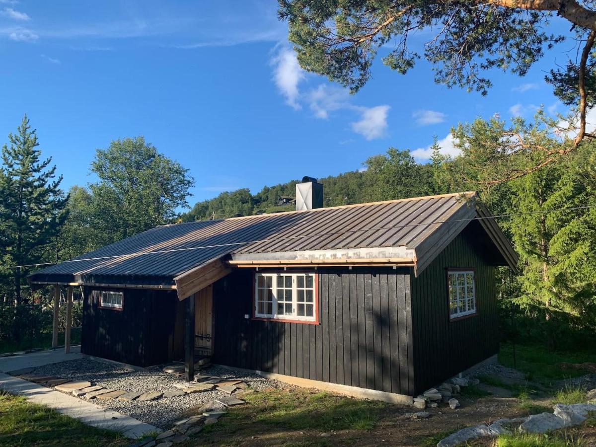 Fjellro Mountain Cabin Oppdal Dış mekan fotoğraf
